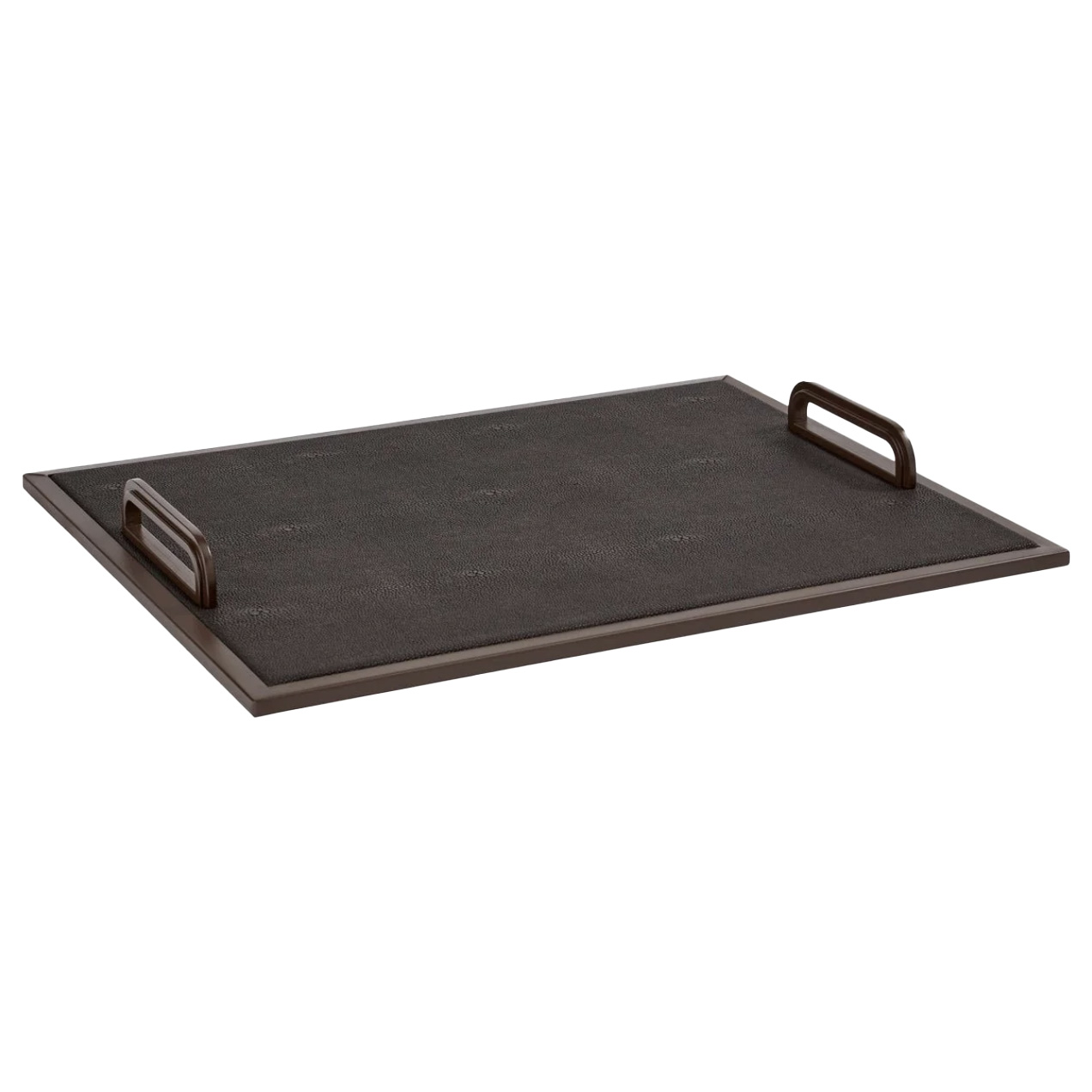Large Anthracite Shagreen Tray