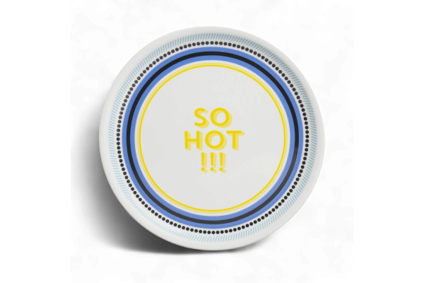 PIZZA PLATE SO HOT